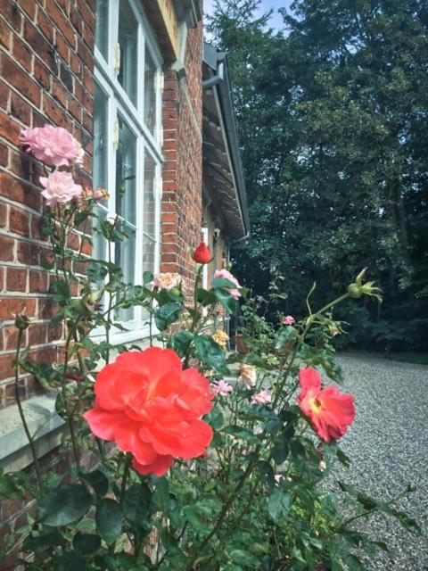 Rotzowlund Bnb Ґрено Екстер'єр фото
